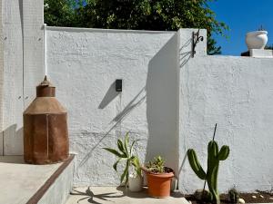 Casa Colibrí con piscina privada