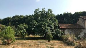 Maison à la campagne entre montagne et mer