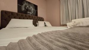 Chácara Martinetti - Compartilhada