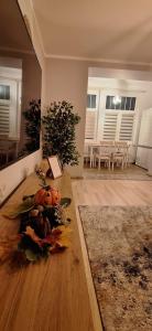 Apartament Lucjanek