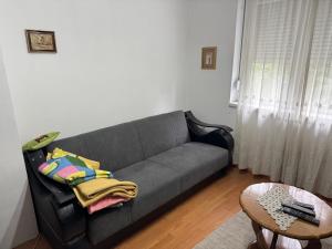 Apartmani Radomirovic