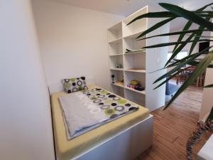 Apartma Lipa