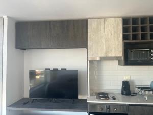 Studio-type apartment