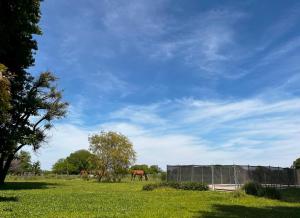Espectacular Casa de Campo en Areco