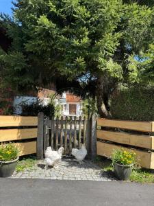 Urlaub auf dem Werl Hof