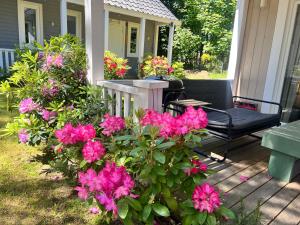 Domki nad morzem Sasino Mojo Miodno Checz