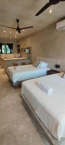 CASA SOLFE siete nueve nueve