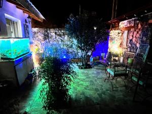 Ashram Asociación Argentina de Yoga