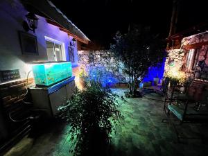 Ashram Asociación Argentina de Yoga