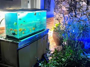 Ashram Asociación Argentina de Yoga