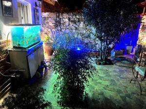 Ashram Asociación Argentina de Yoga