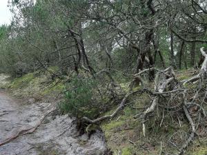 4 person holiday home in Nørre Nebel