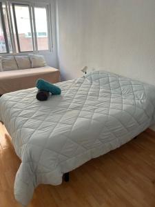 Habitacion privada en piso compartido Plaza de toros Centro Alicante