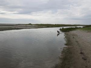 6 person holiday home in Storvorde-By Traum