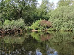 Secluded Oasis by Kvie Lake-By Traum