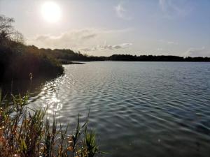 Secluded Oasis by Kvie Lake-By Traum