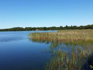 Secluded Oasis by Kvie Lake-By Traum