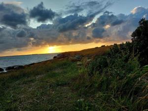 8 person holiday home in Hemmet-By Traum