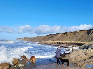 Tranquil Cottage Retreat in Lokken-By Traum