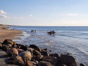 Tranquil Cottage Retreat in Lokken-By Traum