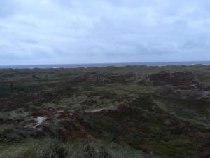 4 person holiday home in Oksbøl-By Traum