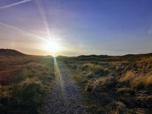 8 person holiday home in Ringkøbing