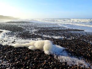 8 person holiday home in Ringkøbing