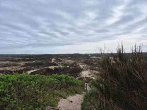 24 persons holiday home in Nørre Nebel