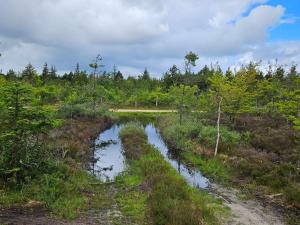 24 persons holiday home in Nørre Nebel
