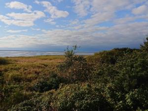 4 person holiday home in Skjern-By Traum