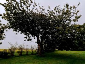 10 person holiday home in Løkken-By Traum