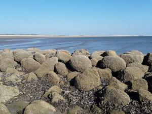 Spacious Retreat with View - By Traum Ferienwohnungen