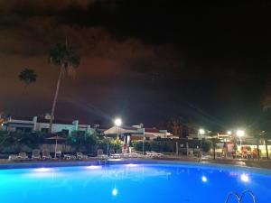 Sunny bungalow with garden #1