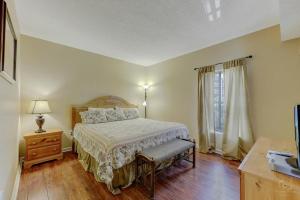 WP233 Always Dreaming