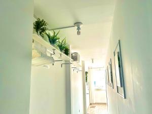 Flat between Barranco, Miraflores & Surco