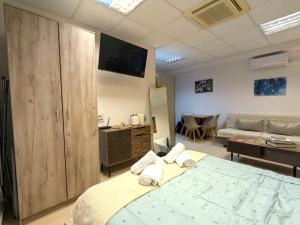 Odyssey 9 Urban Studio 55m from Μetro