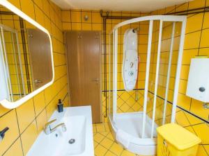 One-Bedroom Apartment With Lake View