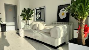 KIMMIY Garni Attic Rooms near Belgrade Airport