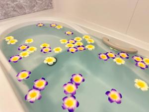 nestay house tokyo shinjuku