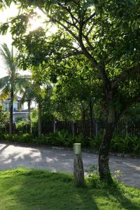 Chang Chang Cozy Home