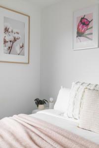 The Crescent, a modern townhouse near LGH & parks