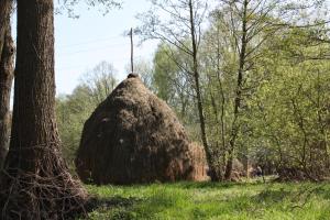 Lutkistube in Lübben