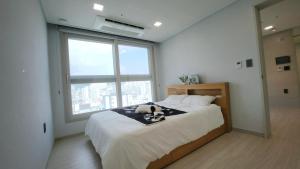 Central H apartment Grande