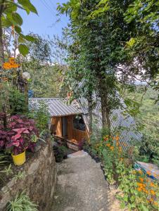 Mochileros Cherry Tree House