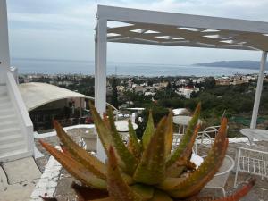 Private villa full view for up to 10 vacationers