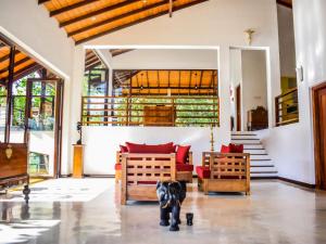 Aqua Dunhinda Villa