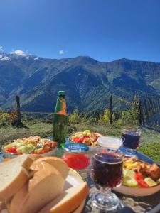 Svanieri-Cottage in Svaneti