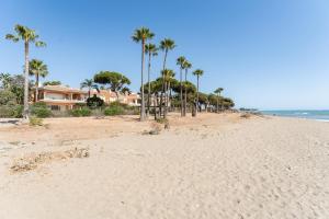 Amazing Venalmar Beach