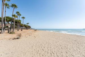 Amazing Venalmar Beach