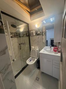 historical central apartment